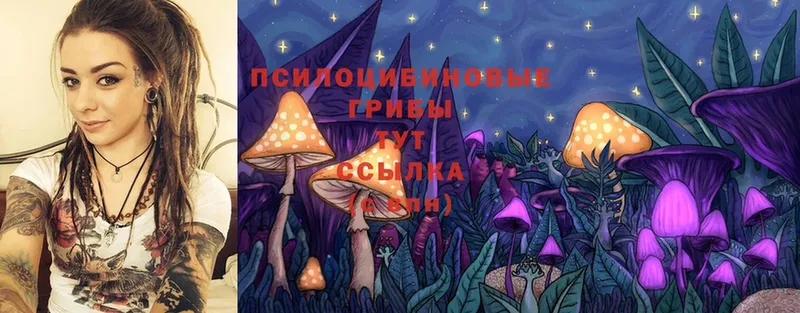 KRAKEN ТОР  что такое   Аргун  Псилоцибиновые грибы MAGIC MUSHROOMS 